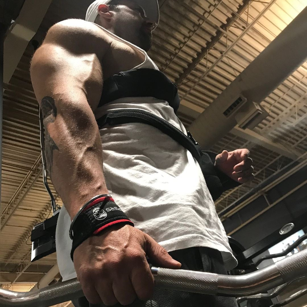 Gymreapers Lifting Wrist Straps