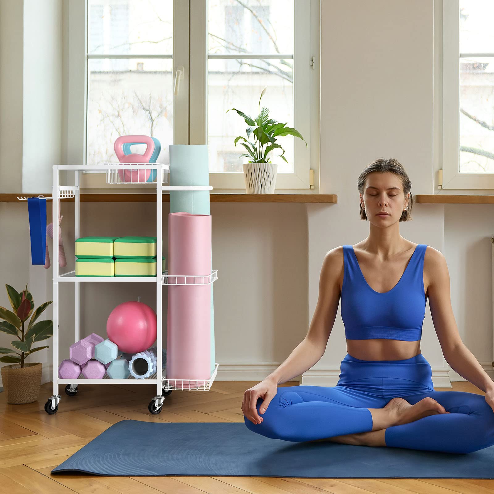 Workout Equipment Storage Cart